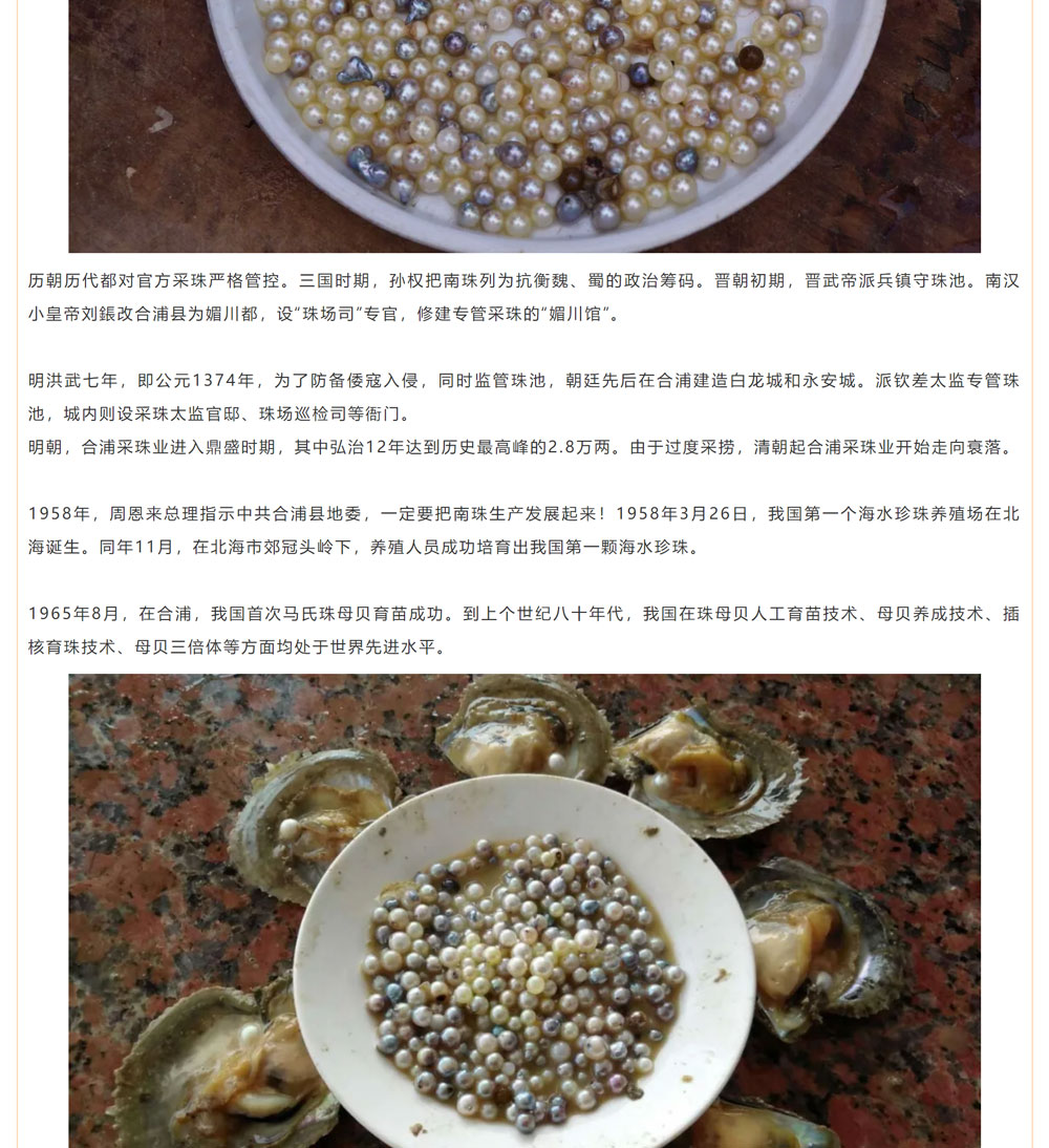 古老南珠，綻放異彩